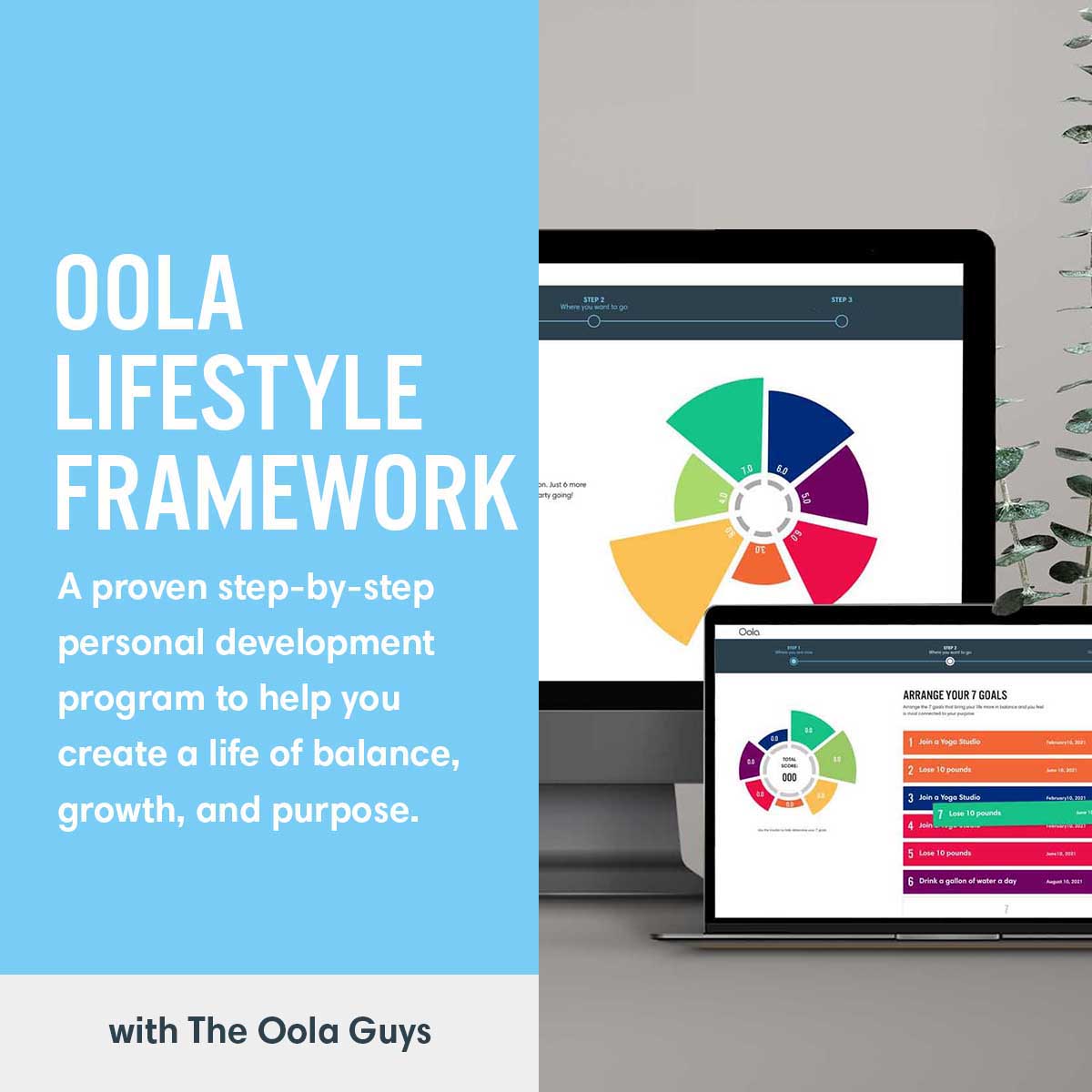 oola lifestyle framework