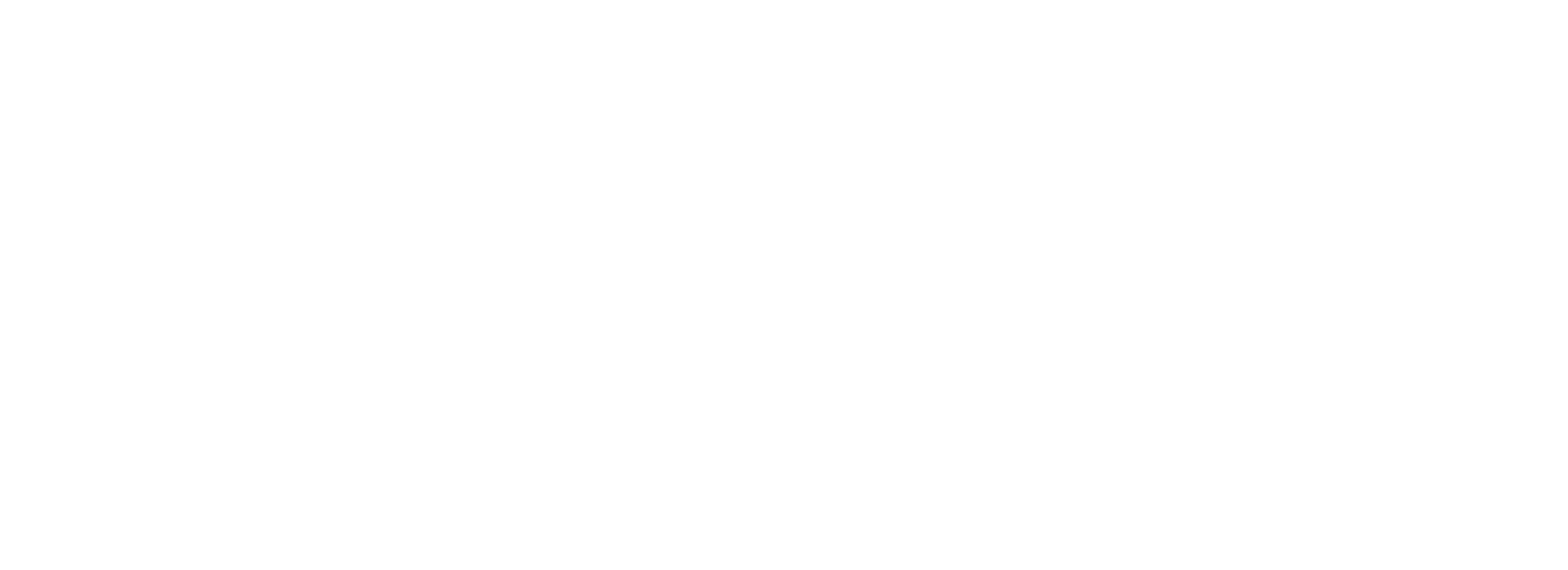 FHT_White Logo
